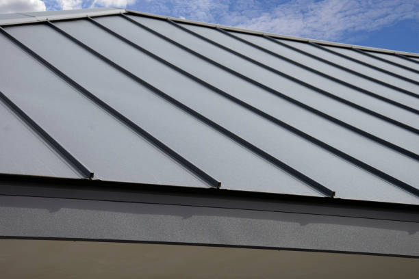Best Skylight Installation and Repair  in Monterey, CA